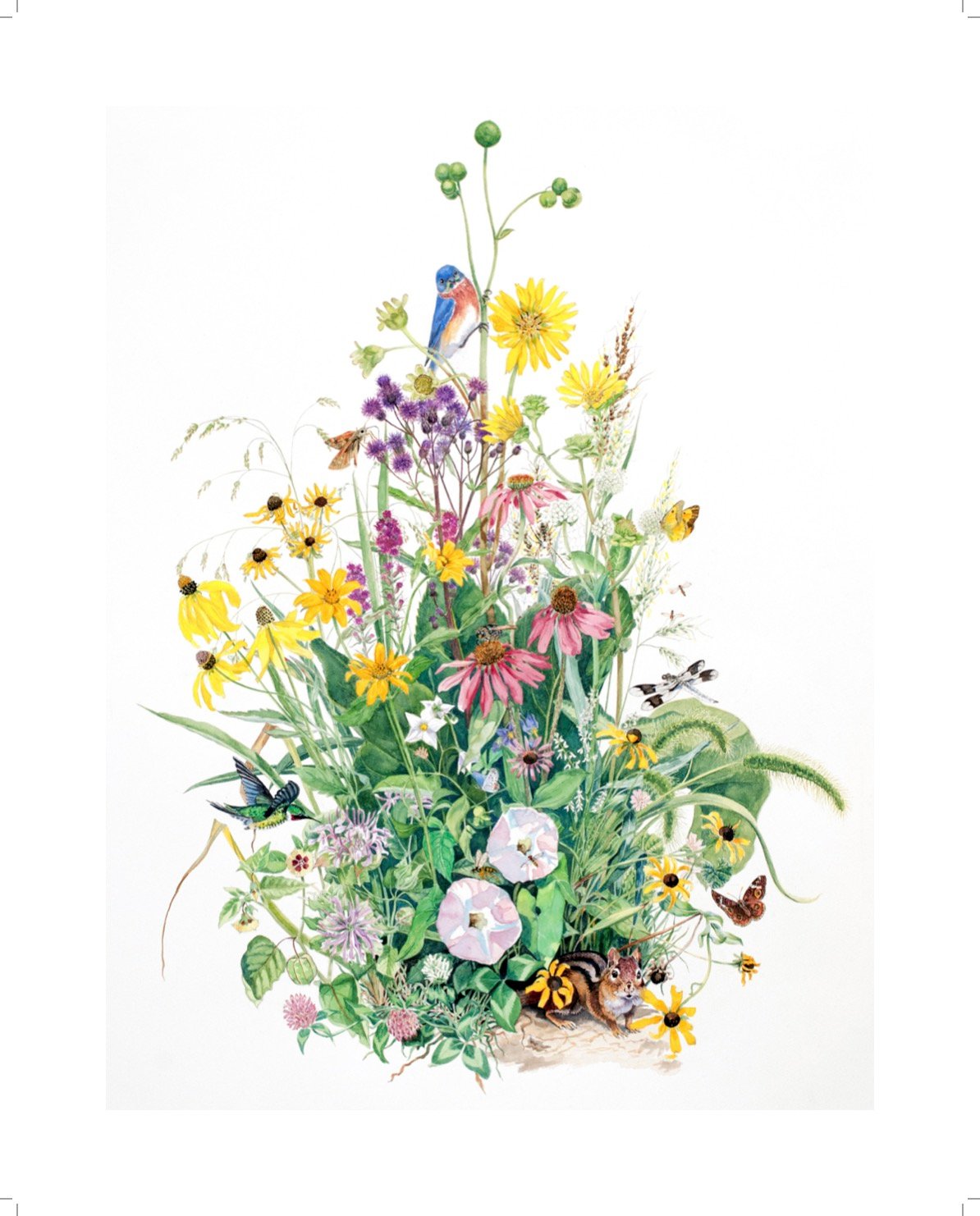 AMaddox_Eco3_16x20Print